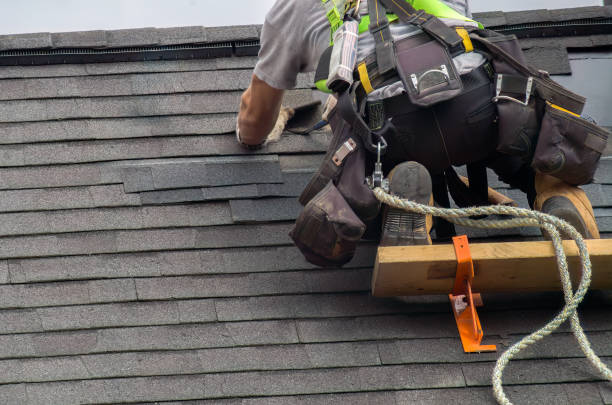Best Roof Gutter Cleaning  in Farmersville, CA