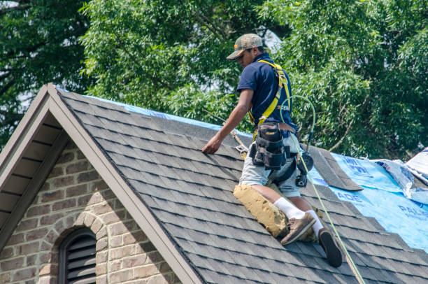 Best Gutter Installation and Roofing  in Farmersville, CA